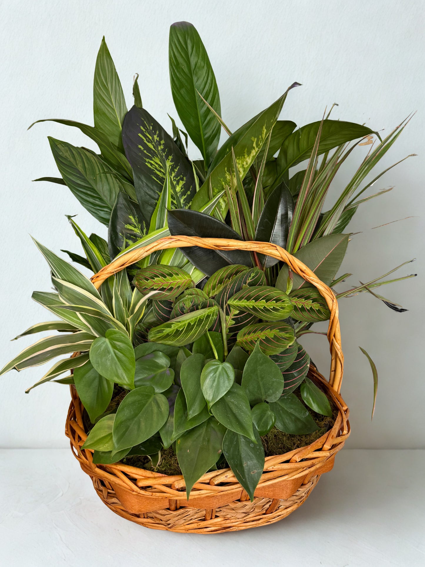 Grand Evergreen Basket Garden