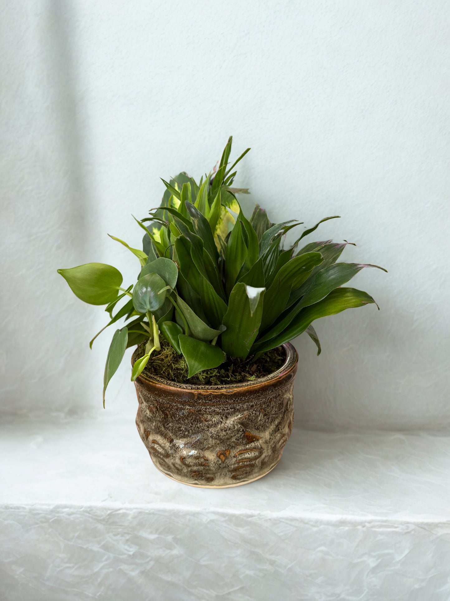 Petite Green Dish Garden