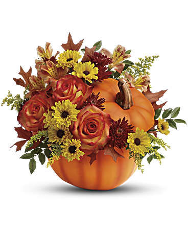 Pumpkin Spice Blooms