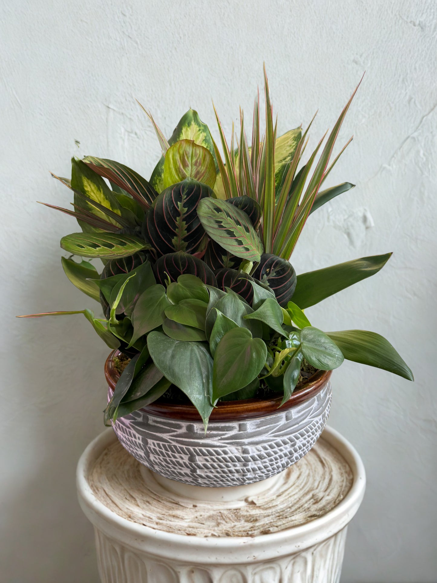 Modern Green Dish Garden
