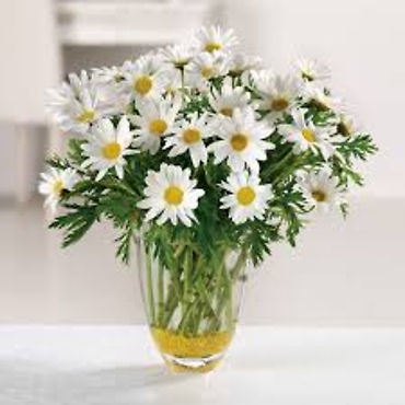 White, Yellow or Lavender Daisy Bunch