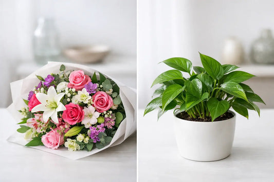 Fresh Flowers vs Plants: Which Gift Fits?