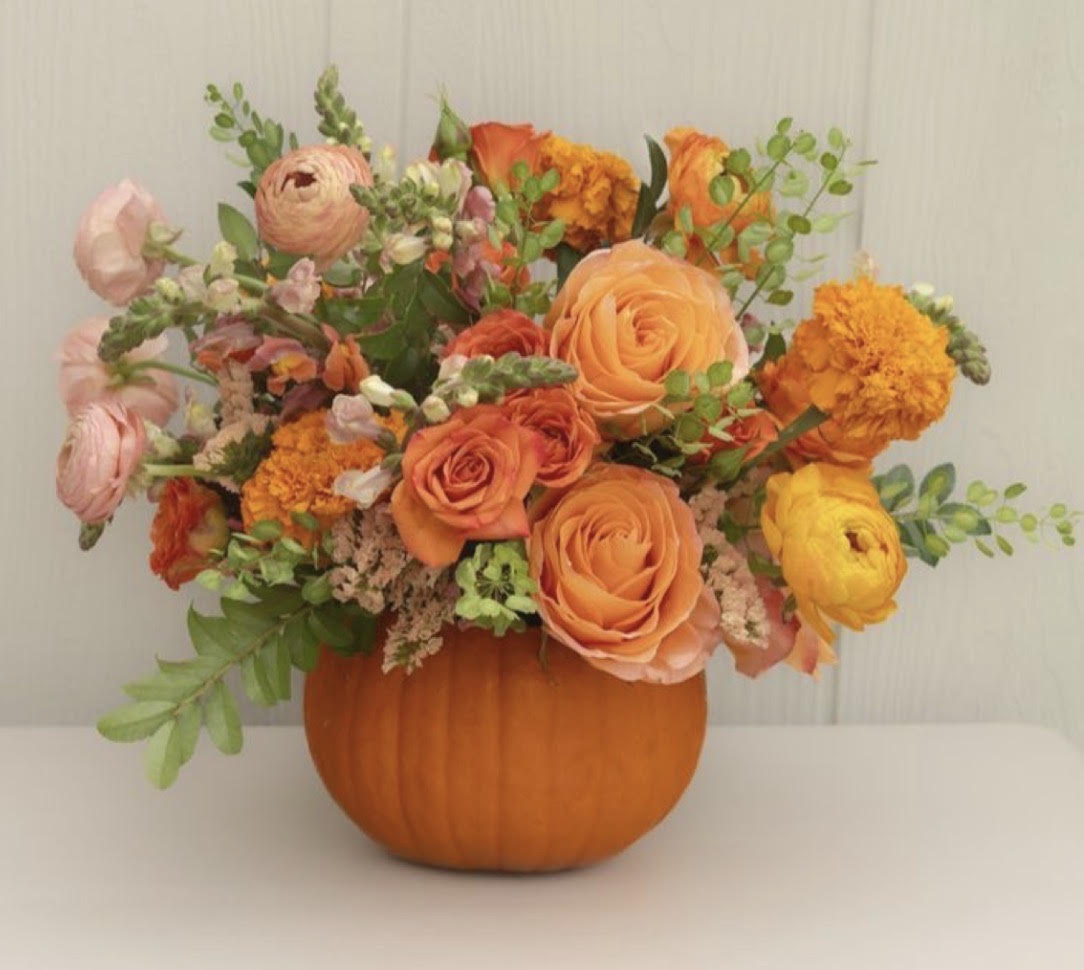 Fall Favorites