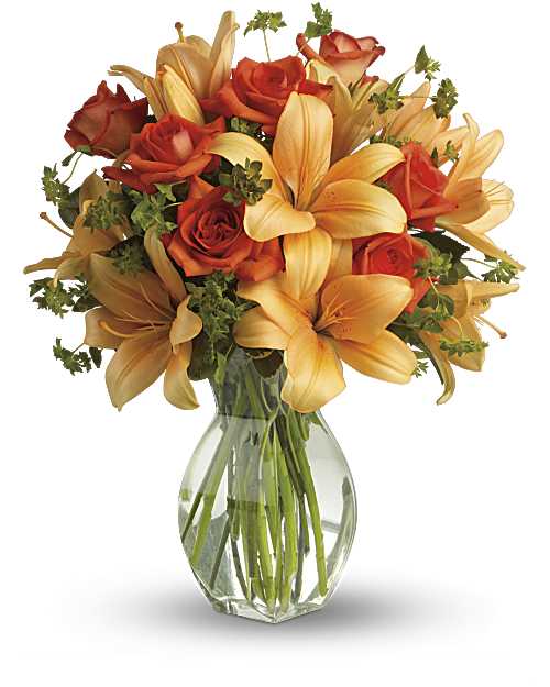Fiery Lily and Rose