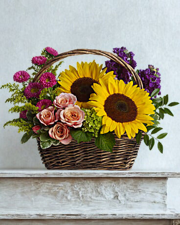 Afternoon in Bloom