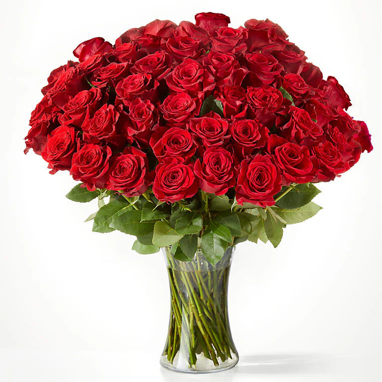 Luxury Long Stem Red Rose