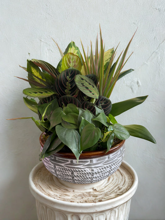 Modern Green Dish Garden