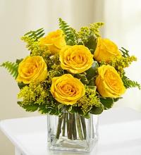 Love\'s Embrace Roses – Yellow